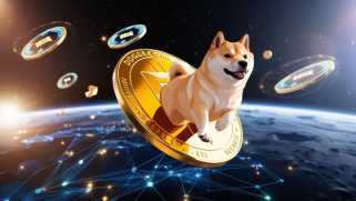 Dogecoin的价格上涨：解开催化剂的燃料硬币