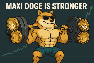 shiba inu，脆弱的，超长门：大苹果中的模因硬币过山车
