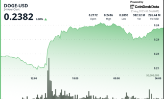 DOGE Rally: Institutional Activity and Market Analysis - A NYC Perspective