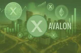 Avalon X、RWA Ecosystem、およびThe Meme Coin Frenzy：Beyond DogecoinとShiba Inu