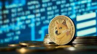Dogecoin、Shiba Inu、およびCrypto：2025年にミームの波に乗る