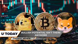 ビットコイン、ドッグコイン、およびシーバ島：'25年に暗号のジェットコースターをナビゲートする