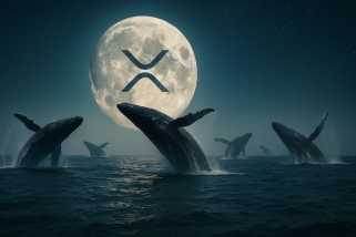 XRPクジラ、マキシドジュ、および蓄積：暗号の動きのニューヨークの分