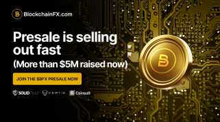 BlockChainfx vs. Baby Doge：暗号の野生の世界でROIを追いかける