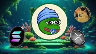 Solana、XRP、およびLittle Pepe：暗号通りでは何が暑いですか？