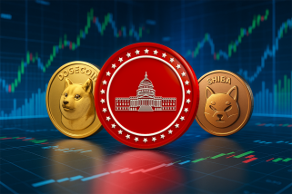 多吉，什布，玛加科因：模因硬币躁狂症和对下一个大事的追求