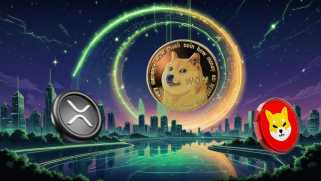暗号通貨、XRP、およびShiba inu：暗号通りでは何が暑いですか？