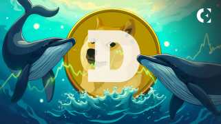 Dogecoinクジラは購入しています：あなたはすべきですか？