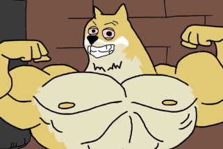 鲸鱼，门槛和马克西·多格