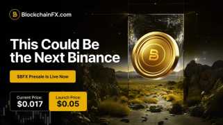Dogecoin, Stellar, and the Crypto Landscape: What\s Hot and What\s Not?