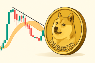 Dogecoin, Risk-Reward, and Analyst Takes: Is DOGE a Good Bet Now?