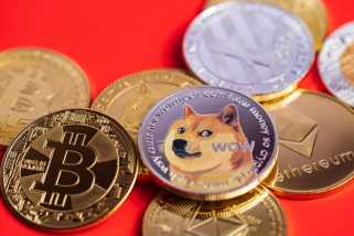 Dogecoin Wobbles: Whales Buy the Dip Amid Price Drop – What\s Next?