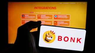 Bonk, Dogecoin, Shiba Inu: Meme Coin Mania or Crypto Evolution?