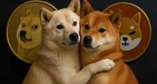 Dogecoin, Shiba Inu, Meme Tokens: Are They Still Worth the Hype?