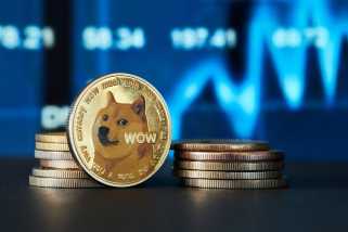Dogecoin：潜在的なブルランのために購入ゾーンをナビゲートします