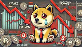 Dogecoin's Wild Ride：Profic-Taking and Meme Coin Mania