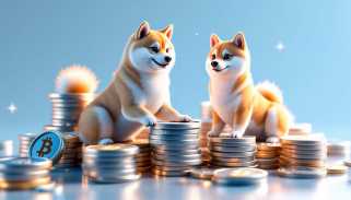 Dogecoin、価格のボラティリティ、Crypto給与：ワイルドライドまたは財務の未来？
