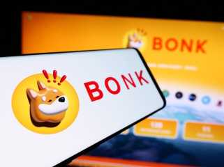 DogecoinとShiba Inuのボラティリティの中のBonk Rallies：ミームコインアップデート