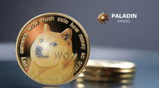 Dogecoin Miner、Bitcoin、および稼ぐお金：ニューヨーカーのテイク