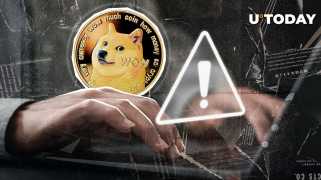 Dogecoin Community Alert: Navigating the Meme Coin Mania