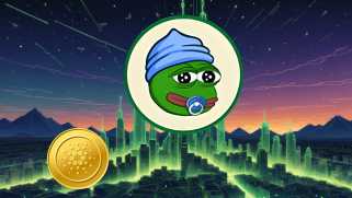 Cardano, Meme Coins, and Crypto: A New Breed Emerges
