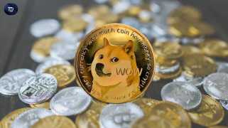Dogecoin's Wild Ride：損失、暗号の利益、そしてそれが何を意味するのか