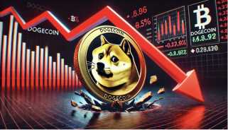 Dogecoin Price Target Plunge: Will the Meme Coin Crash?