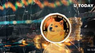 Dogecoin, X, and Flashmobs: What\s the Hype?