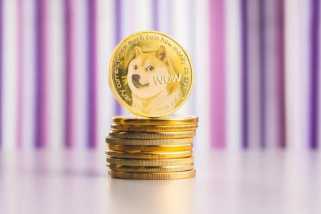 AI vs. the Meme: Decoding Dogecoin\s Price Prediction