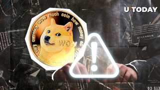 Dogecoin，种子短语和安全警告：加密货币现实检查