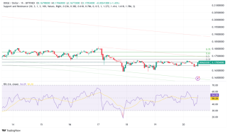 Dogecoin's Futures Frenzy：ブレイクアウト信号またはミームコインミラージュ？