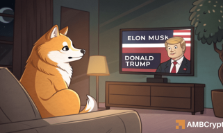 Dogecoin [Doge]は0.1727ドルのサポートからリバウンドされ、0.1992ドルで取引されていました