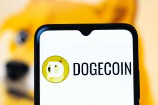 Dogecoin（Doge）は最近、50％以上急落し、大幅な価格下落を経験しました