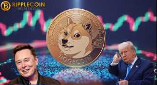 最近、Elon MuskとTrumpの間の緊張により、暗号通貨市場の乱流が強化されましたが、投資家がより安定した投資プラットフォームを見つけることができました。