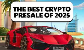Punisher Coin（Pun）Presale Is Live：The Next Viral Meme Coin Breakout？