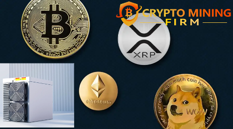 革命が進行中です。かつてTech Mogulsの保護であったアルゴリズムは、ビットコイン、Doge、およびXRPで5,775ドルの目を引く毎日の利益を生み出しています。