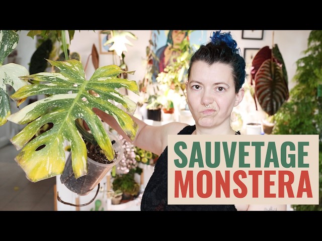 My Very Happy Spot 🪴