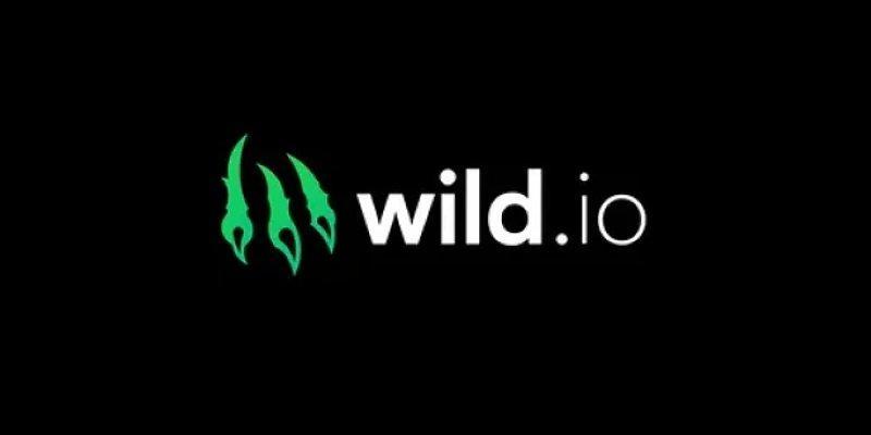 最高のドッグコイン（doge）カジノ：なぜwild.ioが一番の選択肢であるのか