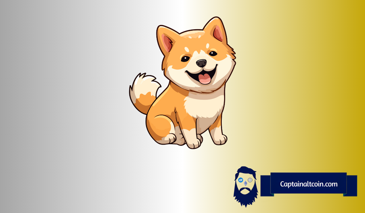 如果Shib达到Dogecoin的市值，这是Shiba Inu的价格