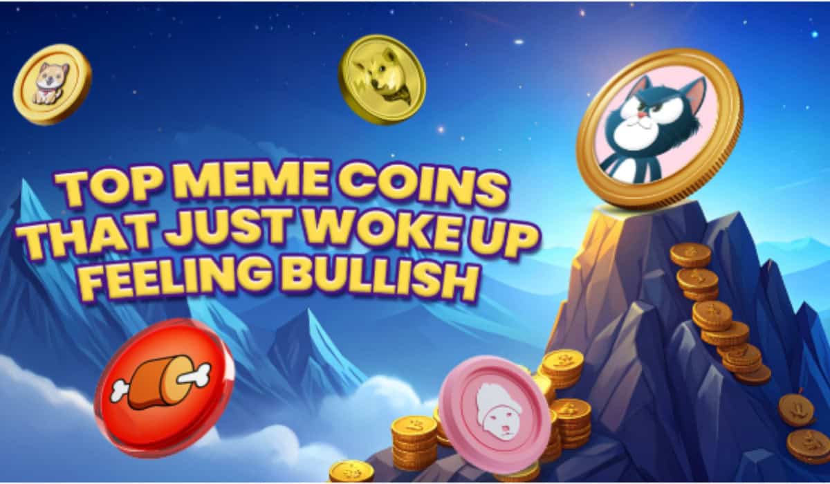 模因硬币市场恢复了如火如荼，拖钓者猫（$ tcat）领导了费用