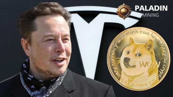 从表情符号到金融工具，Dogecoin完成了互联网模因的价值飞跃