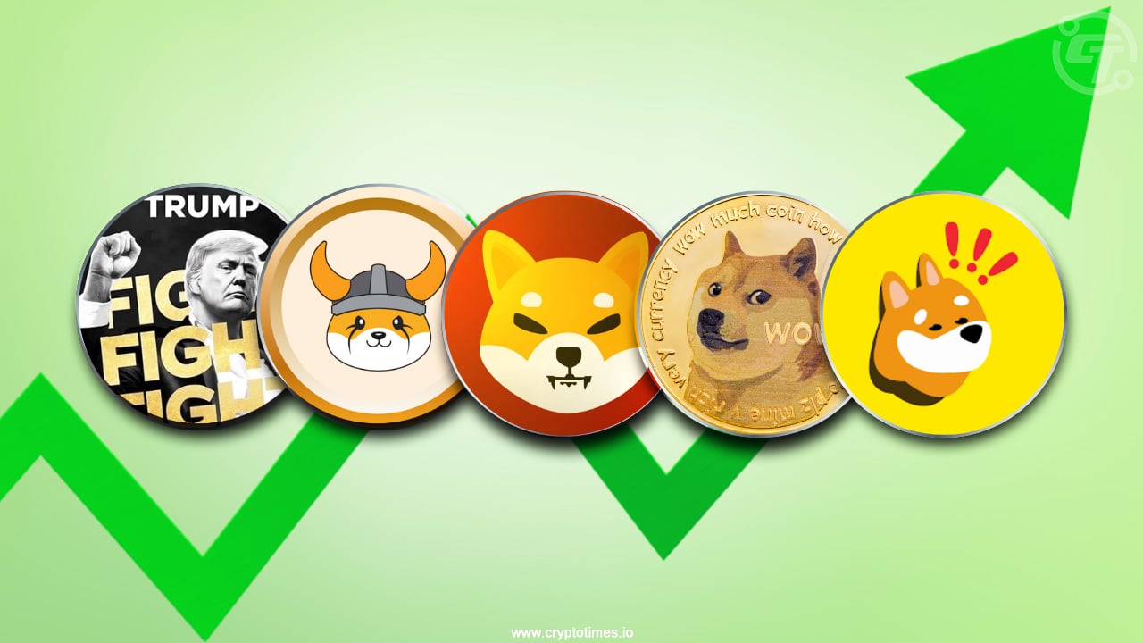 Bonk＆Floki Meme Coins以24.74％和27.36％的速度竊取了該節目