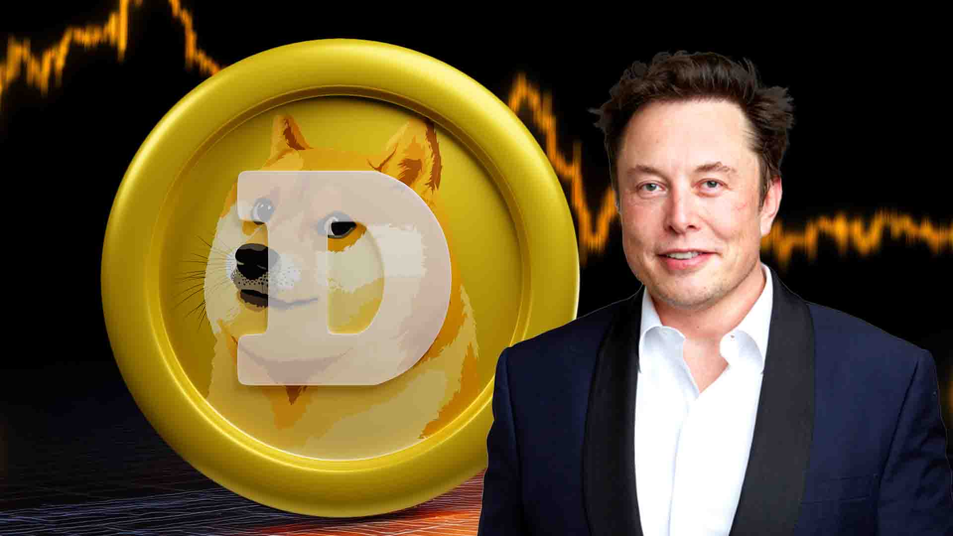 Dogecoin (DOGE) Preis hielt trotz Gerüchten über Elon Musks Ausstieg stabil über 0,16 USD