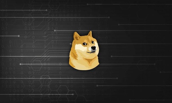 Dogecoin（Doge）的價格進入E階段的下一步，以新的歷史高點為目標