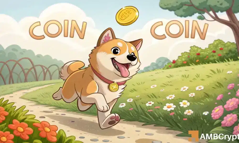 Dogecoin的[Doge]在過去24小時內掉落可能對資產有益