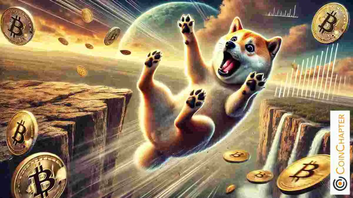 Dogecoin（Doge）價格將近14％，因為大量300m Doge轉移到Binance Exchange Rocks Market