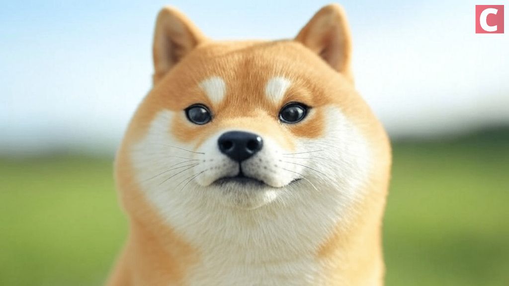 Während der breitere Kryptomarkt eine Konsolidierung eingetreten ist