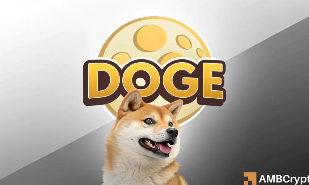 Dotecoin [doge] kann sich auf eine Richtungsverschiebung vorbereiten