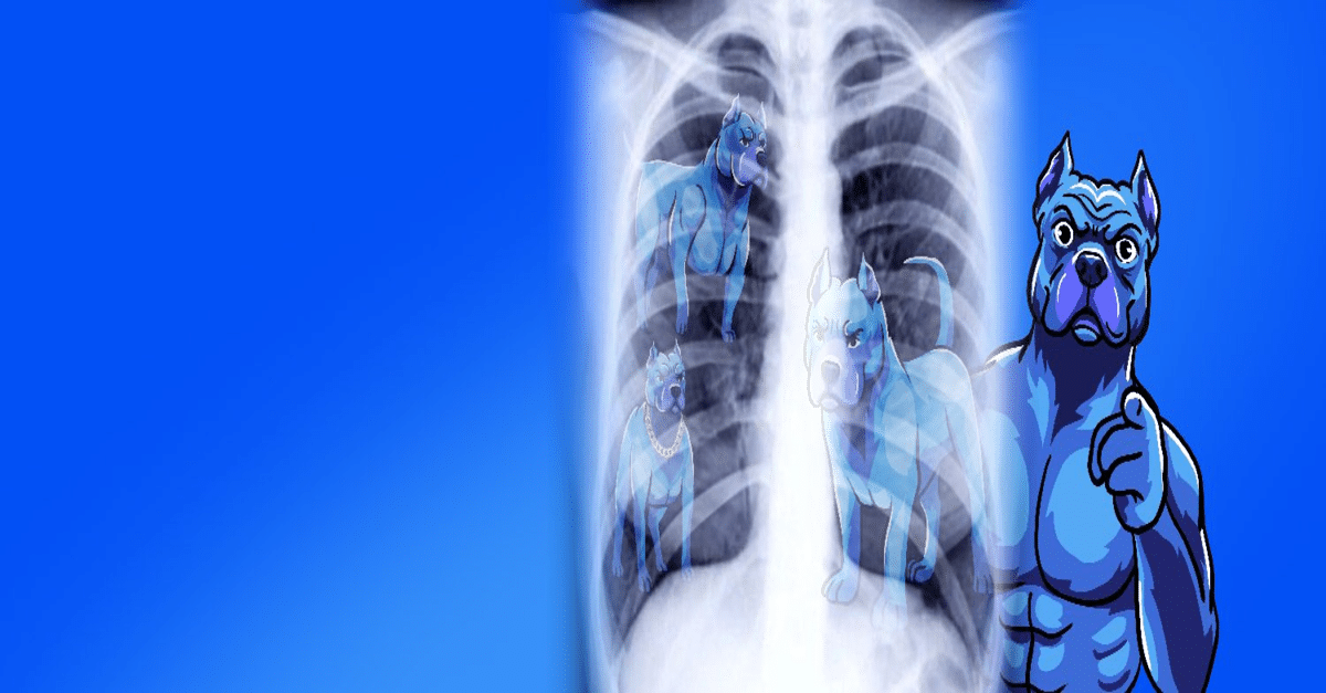 頂級模因硬幣現在投資