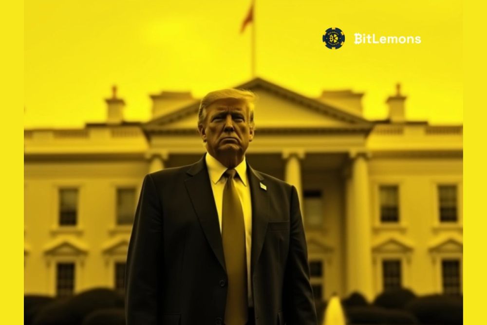 Bitlemons（Blem）爆炸，因為鍊鍊數據揭示了Dogecoin網絡活動上升47％